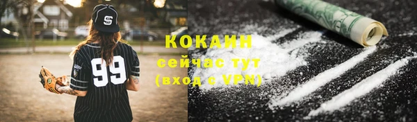 ГАЛЛЮЦИНОГЕННЫЕ ГРИБЫ Осинники