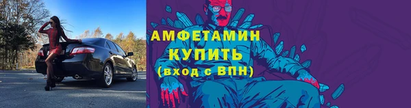 ГАЛЛЮЦИНОГЕННЫЕ ГРИБЫ Осинники