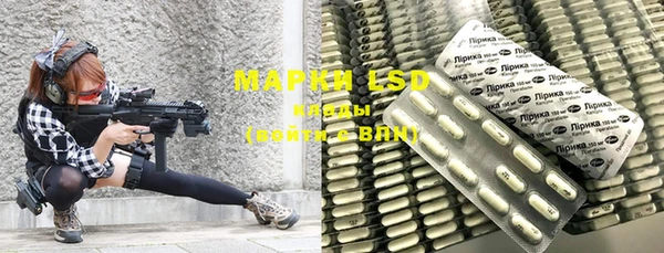 ГАЛЛЮЦИНОГЕННЫЕ ГРИБЫ Осинники