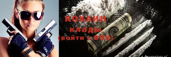 ГАЛЛЮЦИНОГЕННЫЕ ГРИБЫ Осинники