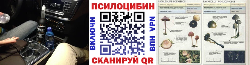 Псилоцибиновые грибы ЛСД  Купить закладки  Хилок 